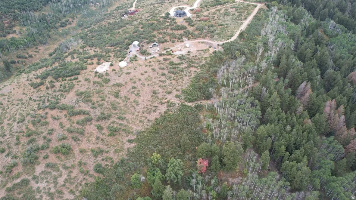 Aerial view of property's location featuring a forest