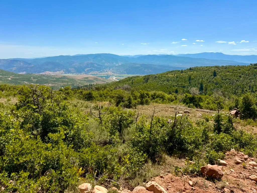 View of mountain background featuring a forest