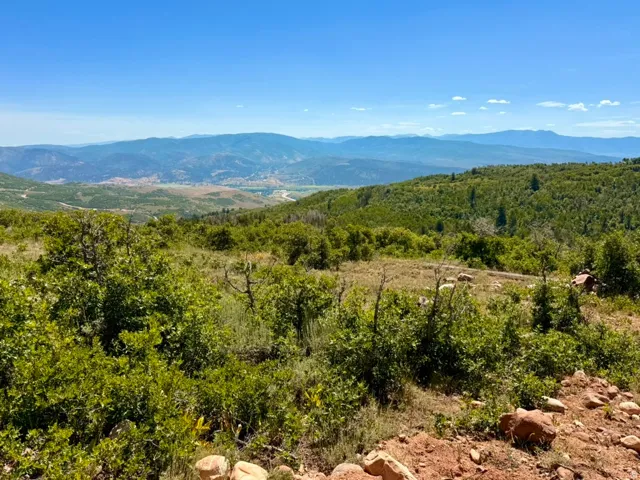 View of mountain background featuring a forest