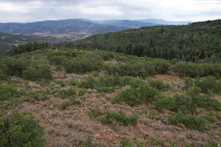 View of mountain background