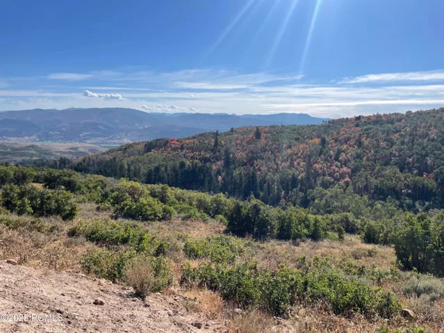 Mountain view featuring a forest