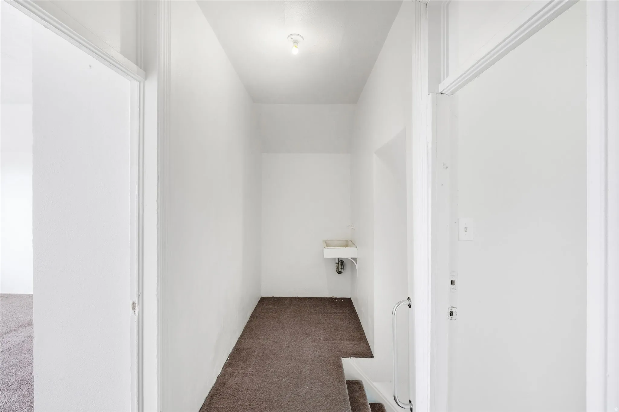 Laundry room featuring carpet flooring