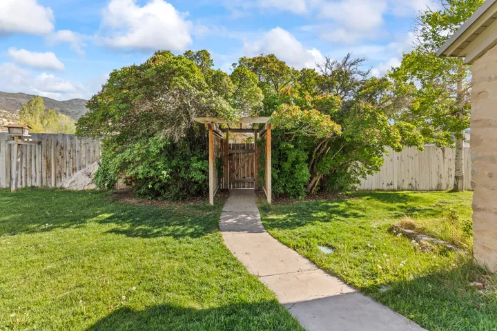 Expansive lawn featuring a concrete pathway and mature foliage