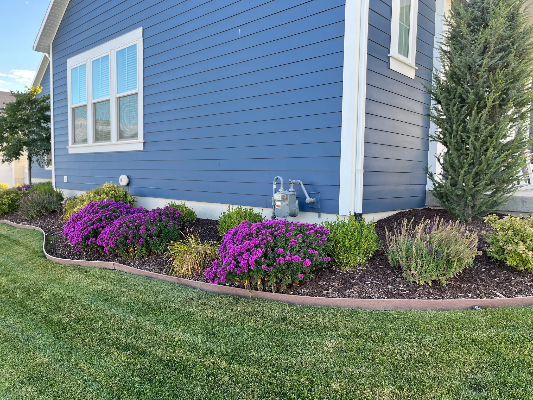 Well landscaped flower beds