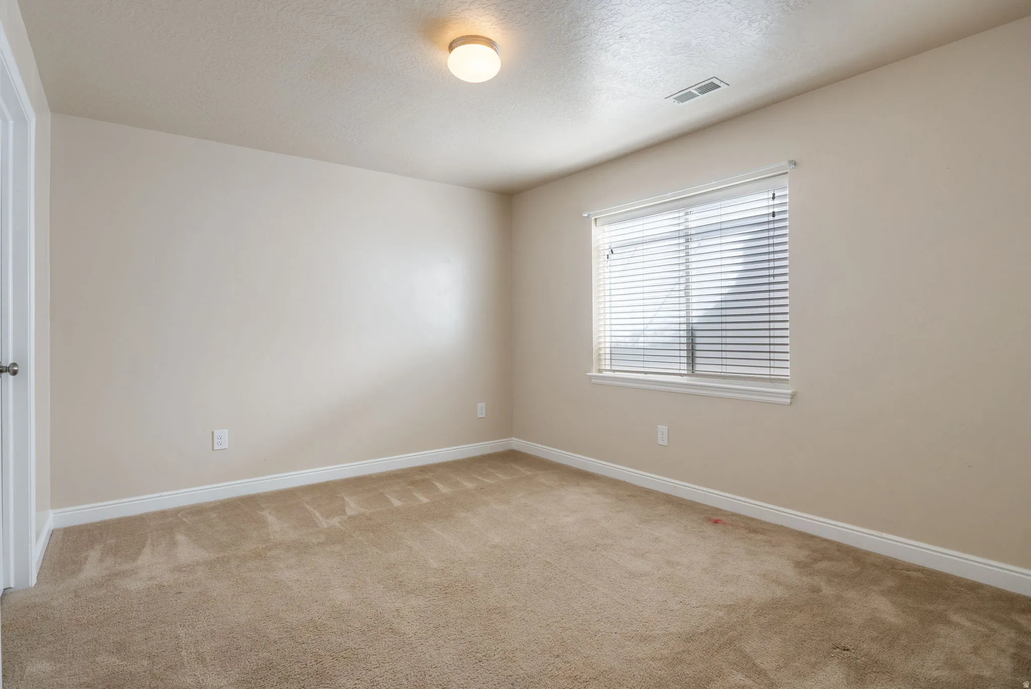 Unfurnished room featuring light carpet and a textured ceiling