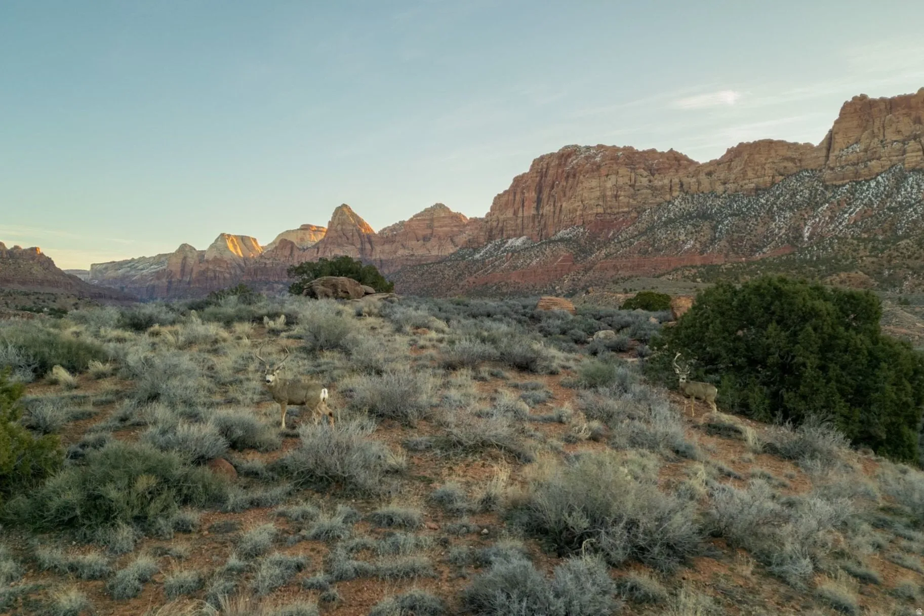 View of mountain backdrop