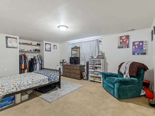 Basement Living Room