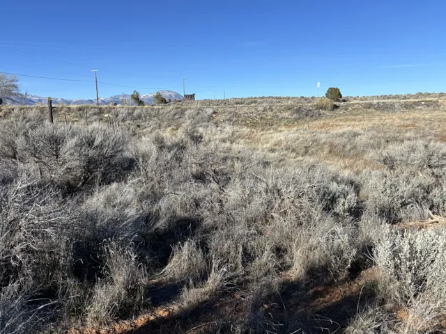 View of local wilderness with rural landscape
