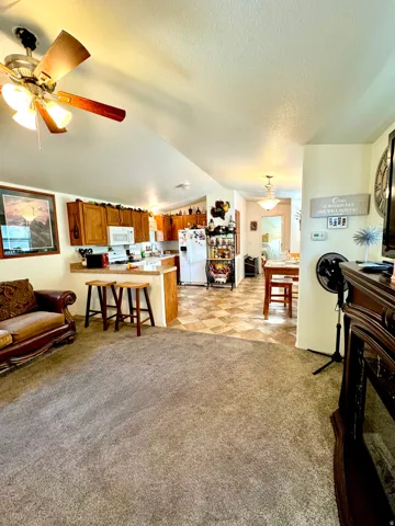 Living room featuring ceiling fan and light carpet