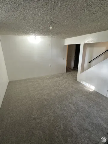Basement Living room with wood stove, brand new carpet