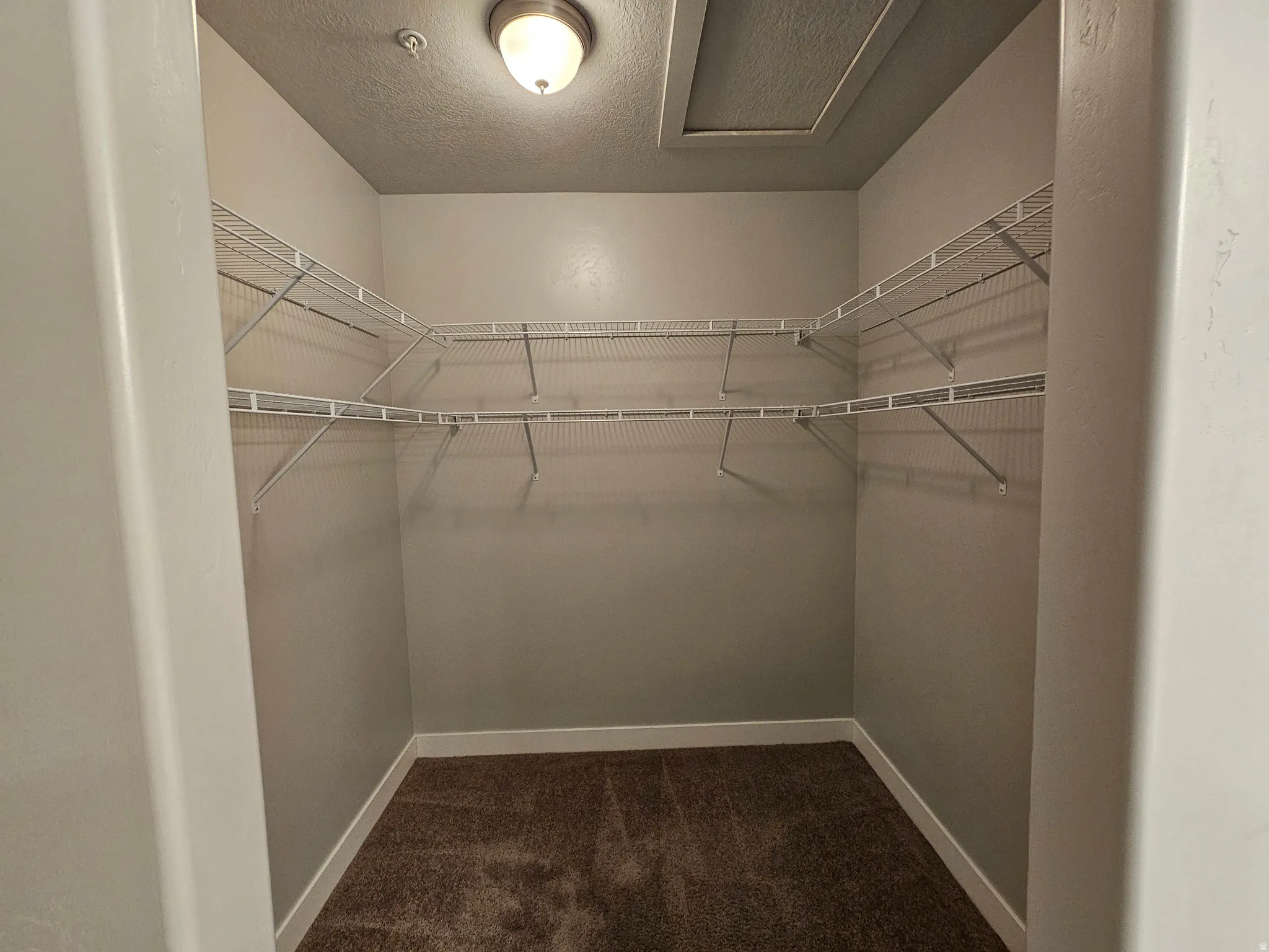 Walk in closet featuring dark carpet and attic access