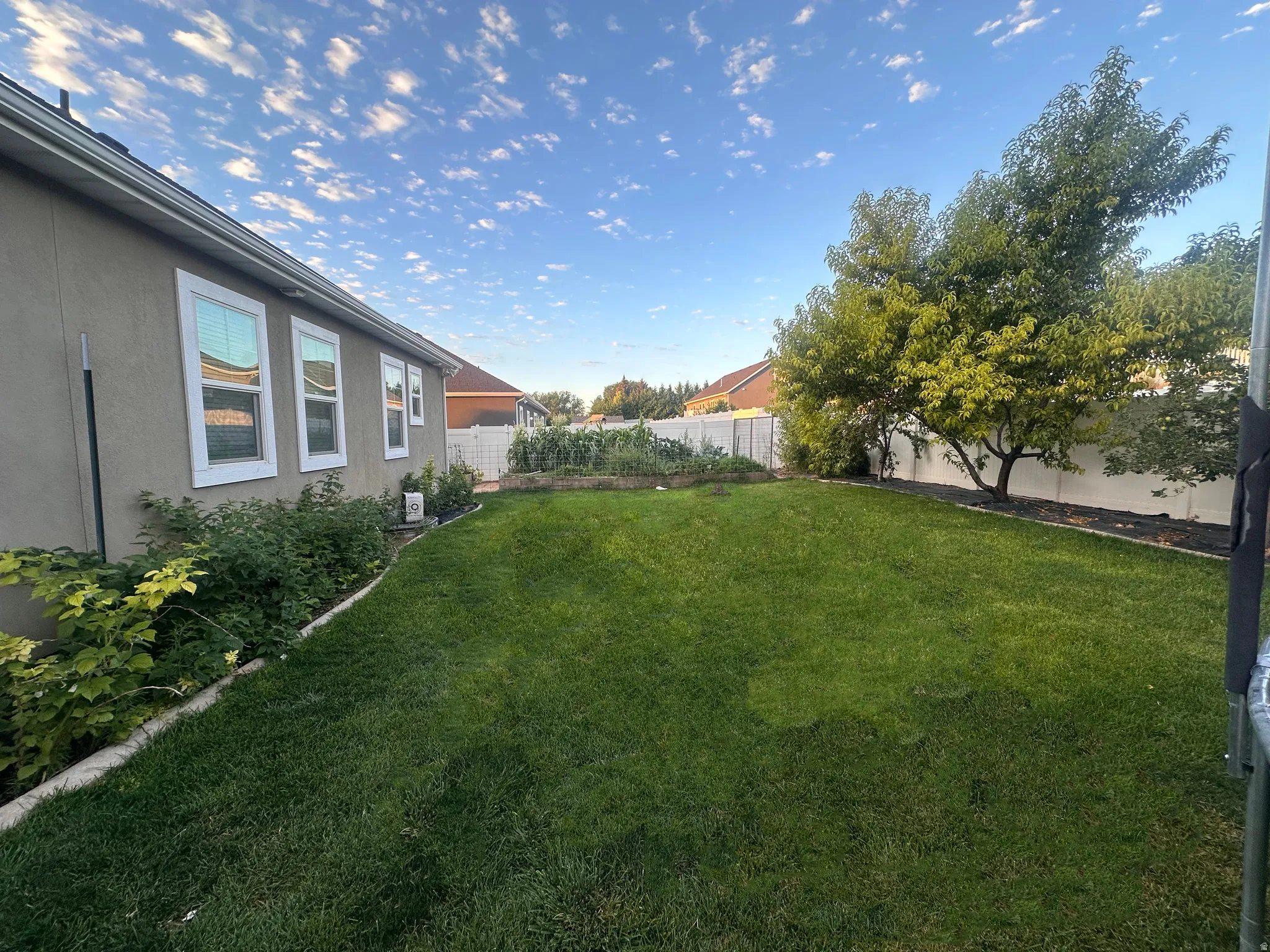 View of fenced backyard