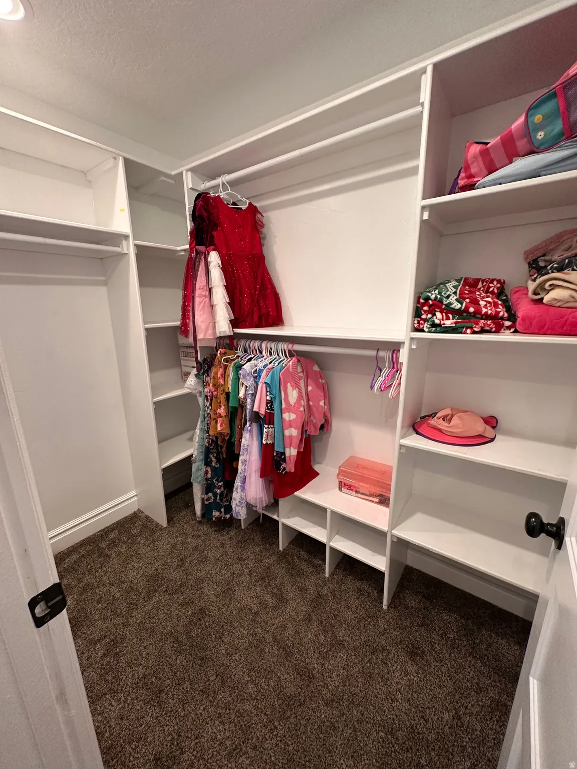 Walk in closet with dark colored carpet