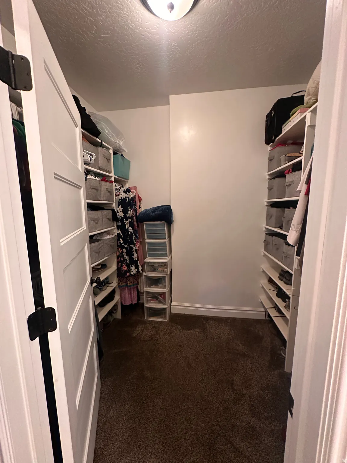 Walk in closet with dark colored carpet