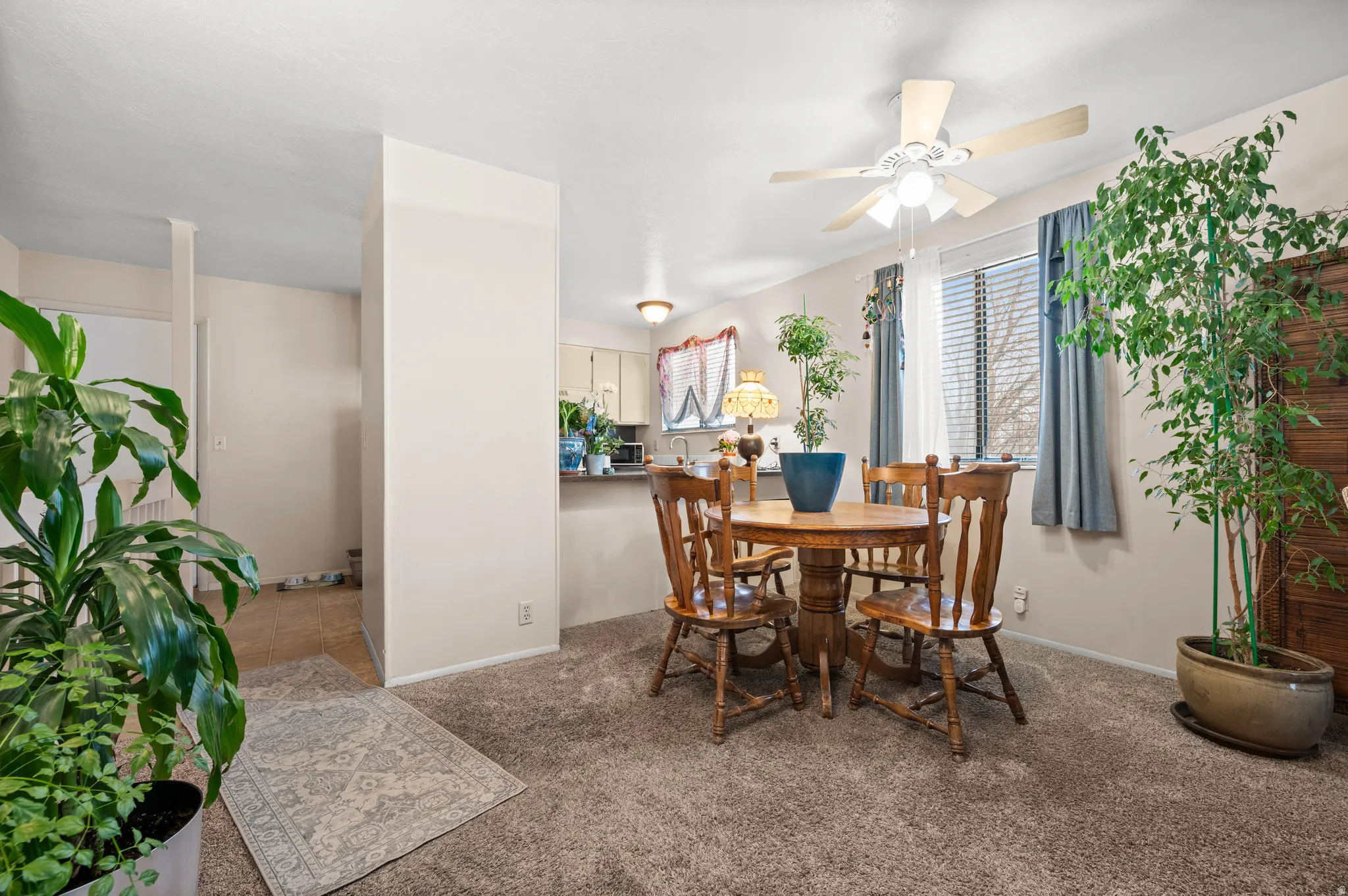 Dining area featuring carpet flooring and a ceiling fan