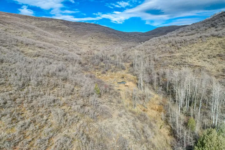 View of mountain background