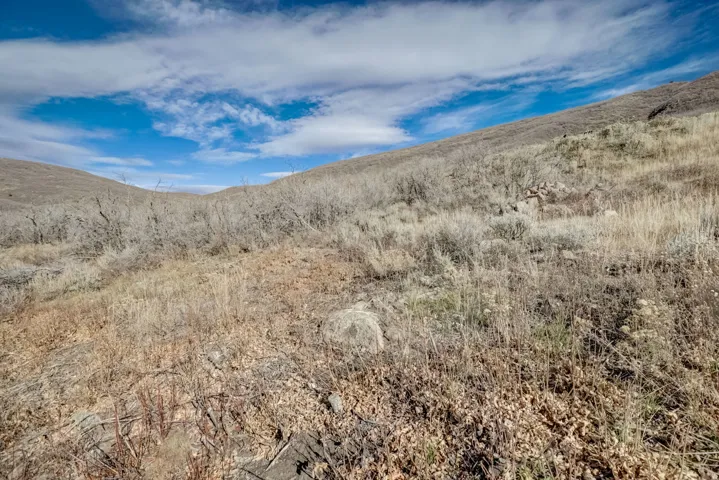 View of mountain background