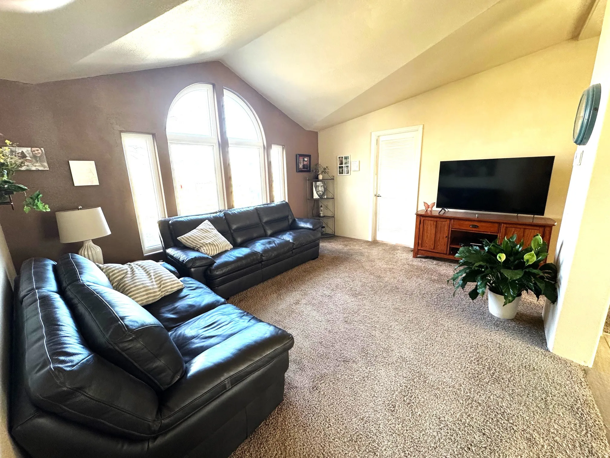 Living room with carpet floors
