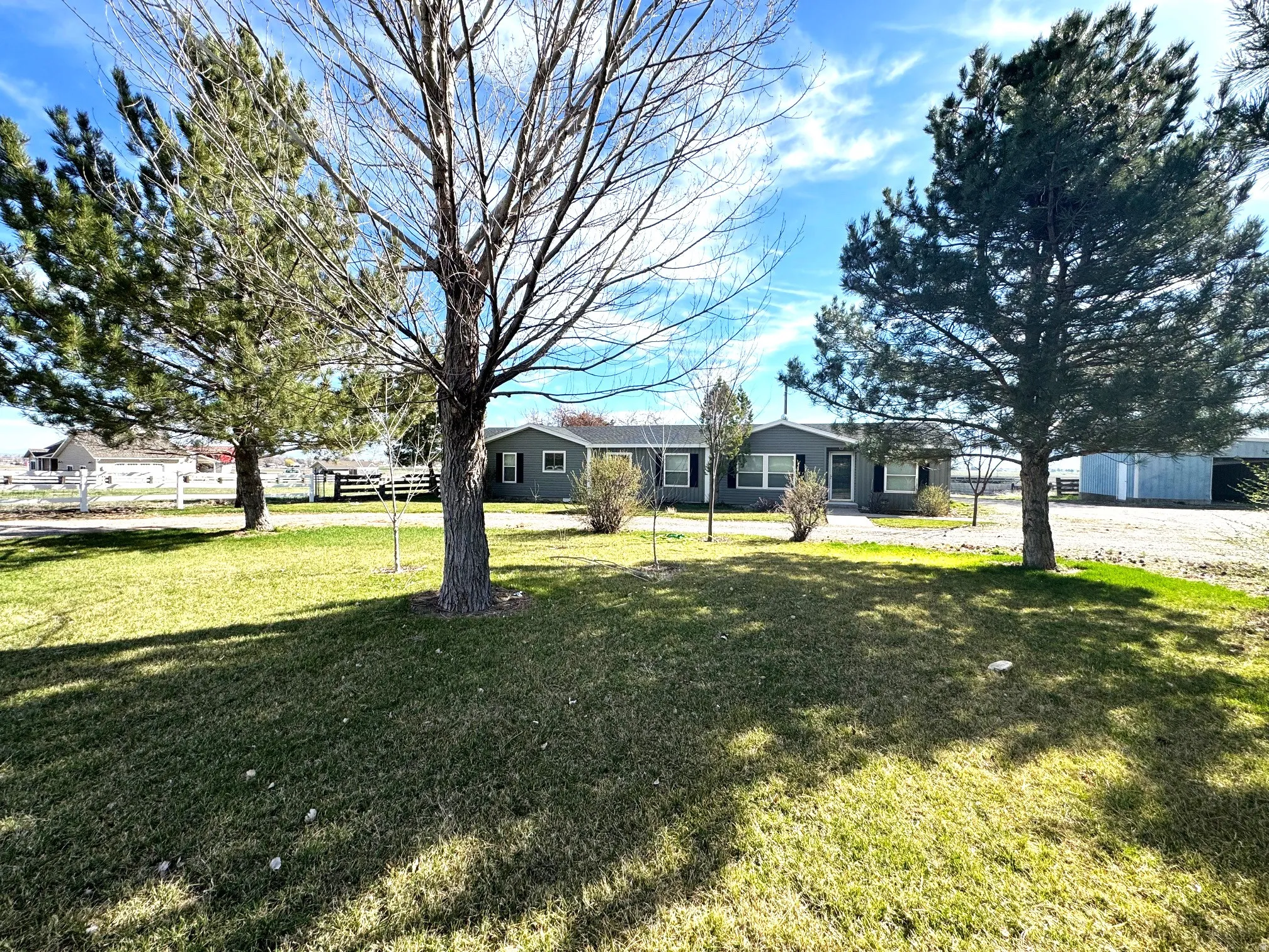 View of grassy yard