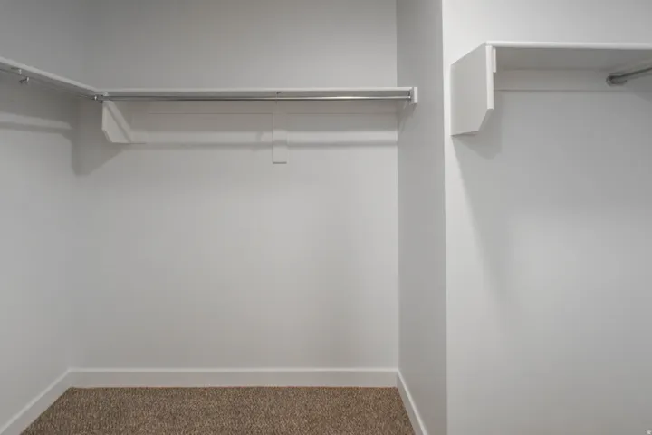 Walk in closet with carpet flooring