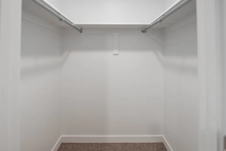 Walk in closet with carpet floors