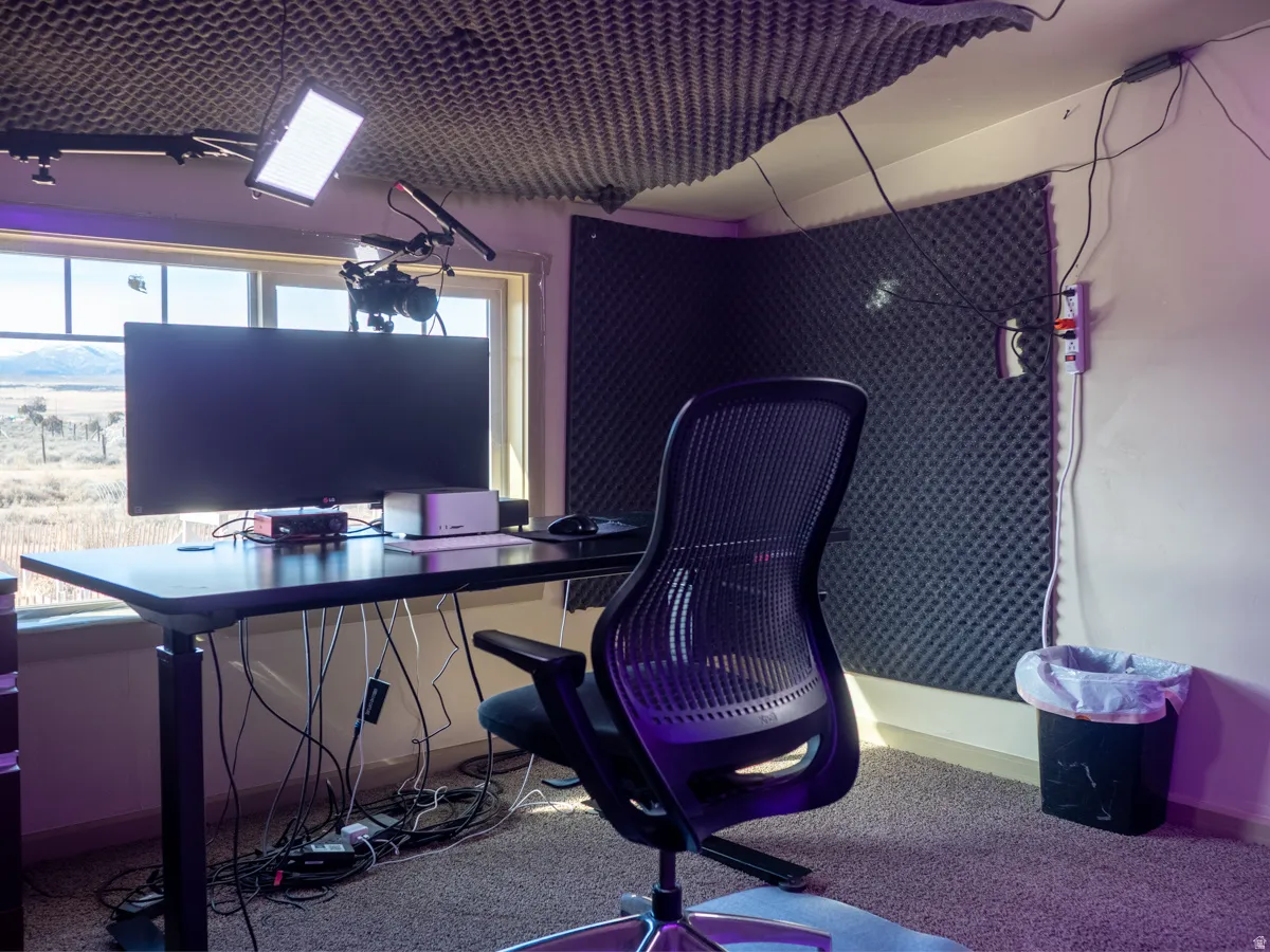 Office area with carpet floors