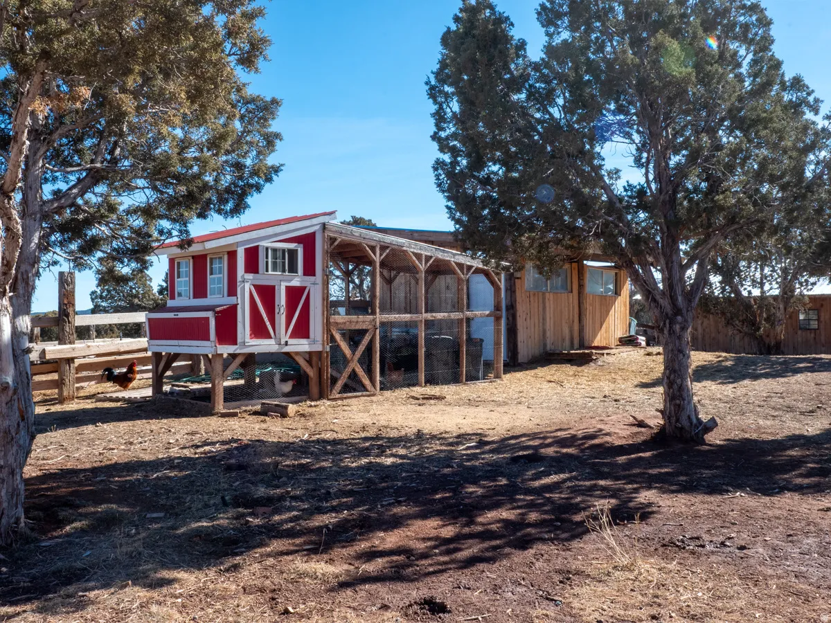 View of chicken coop
