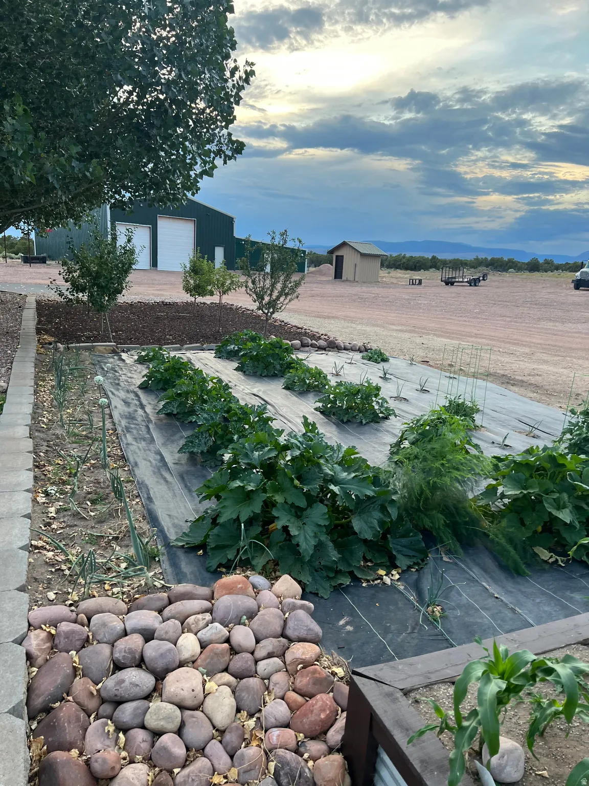 Garden beds featuring established plantings and weed barrier fabric, bordered by a decorative river rock path and concrete pavers