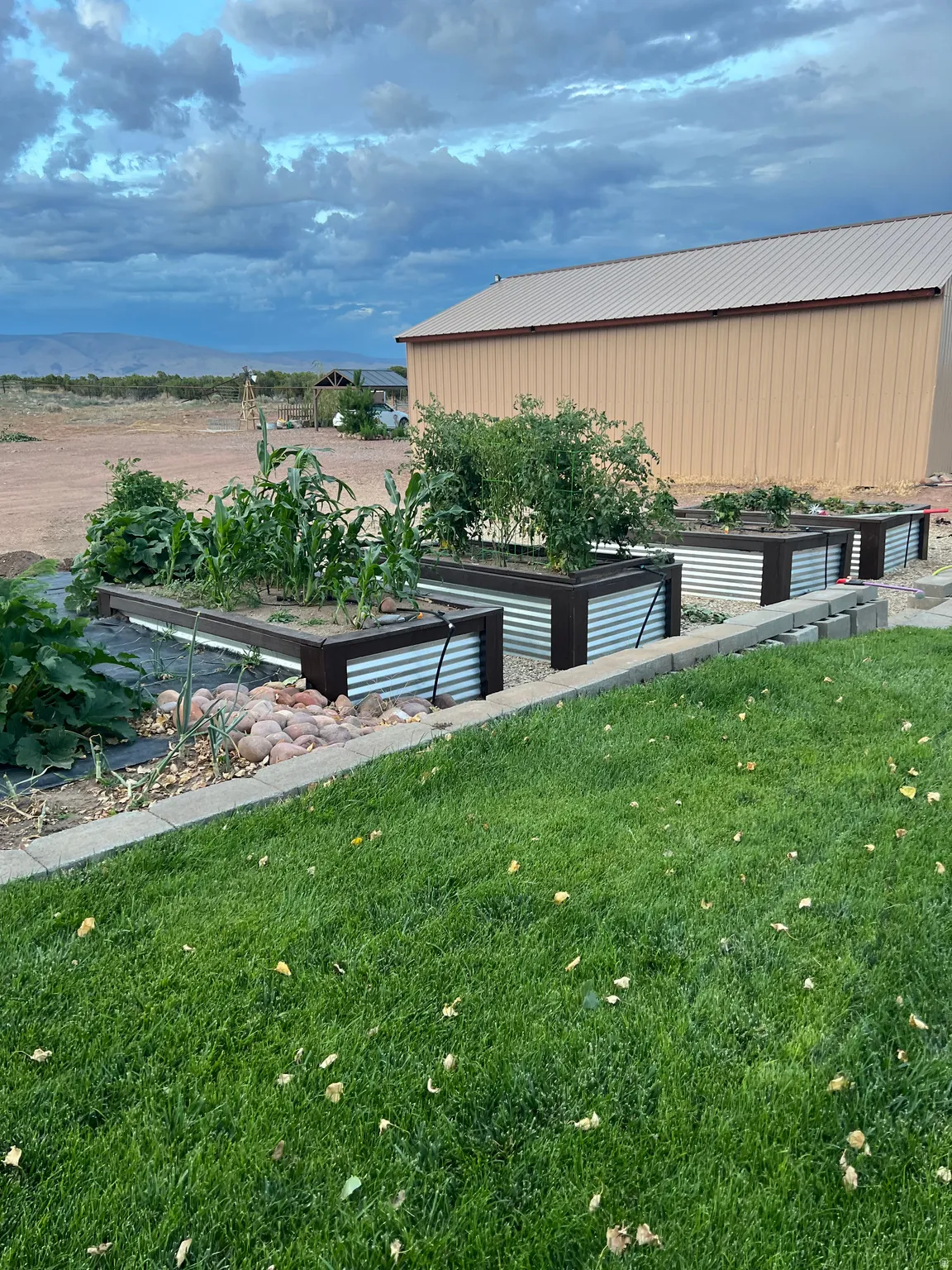 Manicured lawn area with a stone retaining wall and raised garden beds