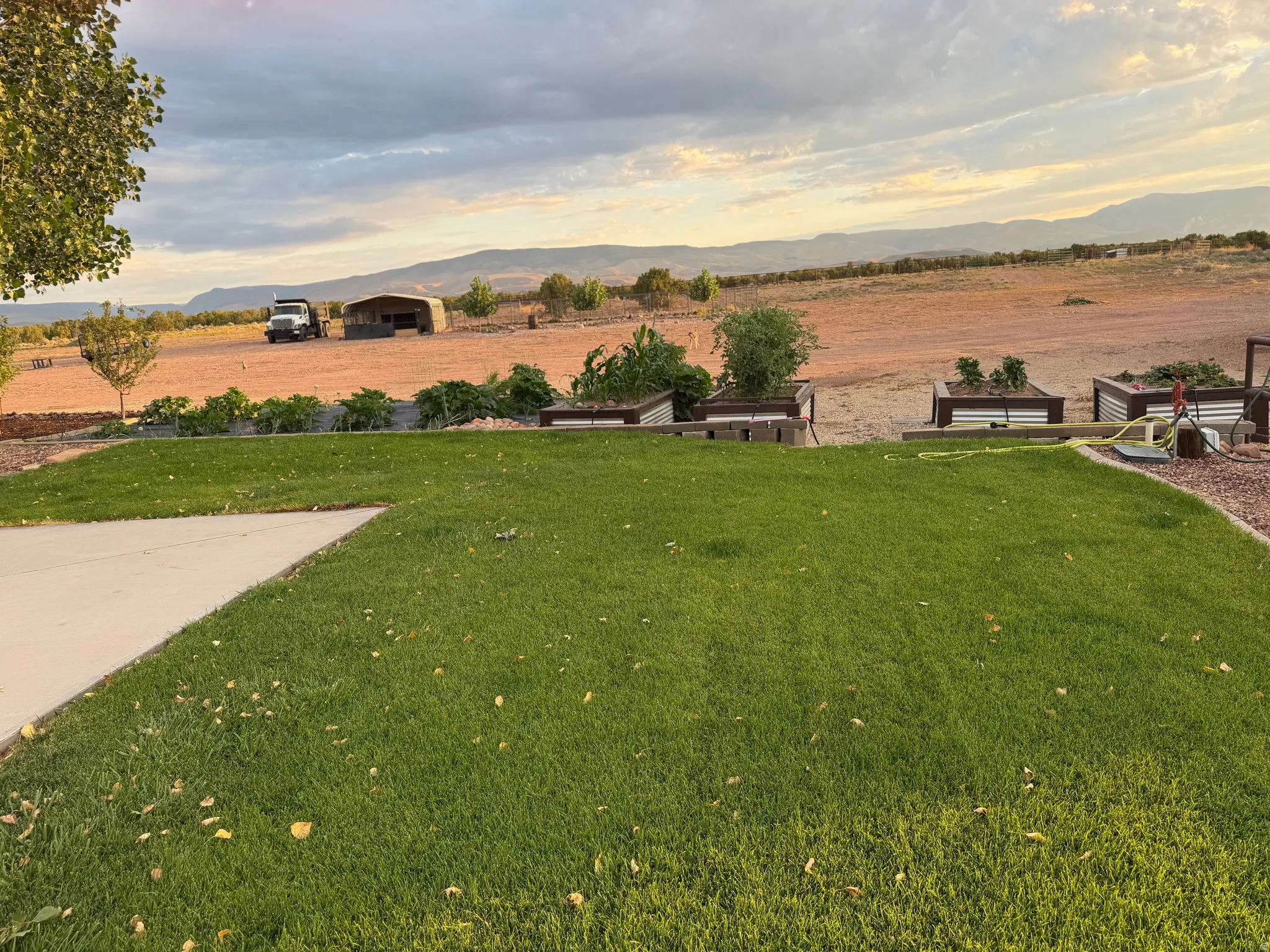 Expansive lawn area with a concrete patio