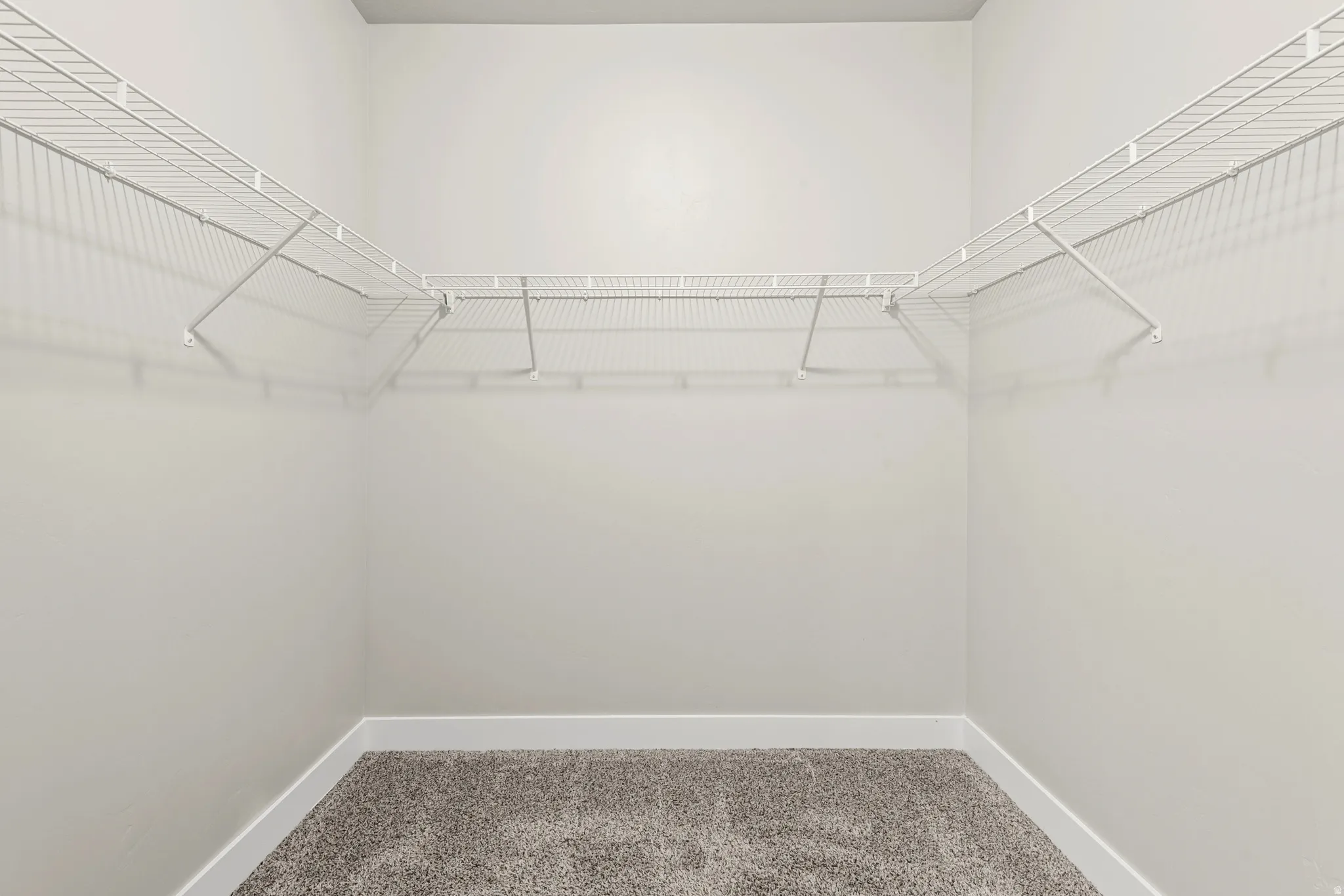 Walk in closet featuring carpet floors