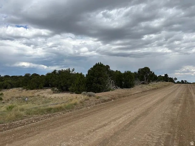 View of dirt / gravel road with a view of rural / pastoral area