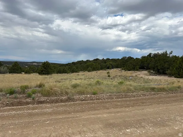View of undeveloped land featuring rural landscape
