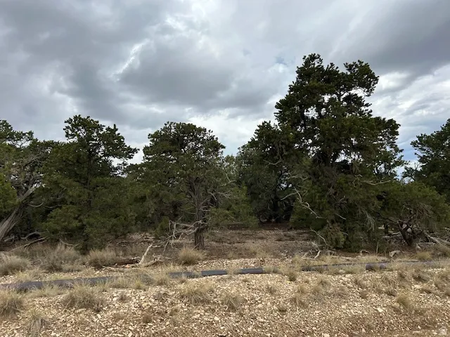 View of undeveloped land