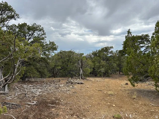 View of undeveloped land