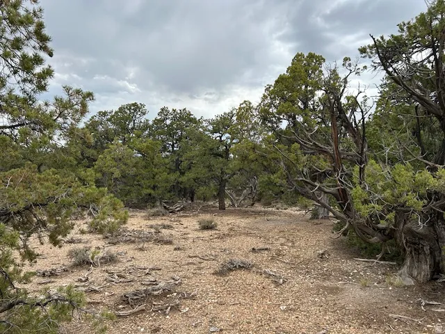 View of undeveloped land