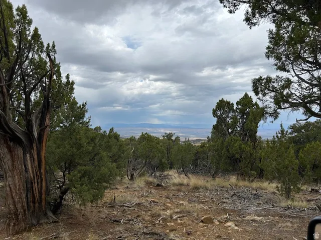 View of nature
