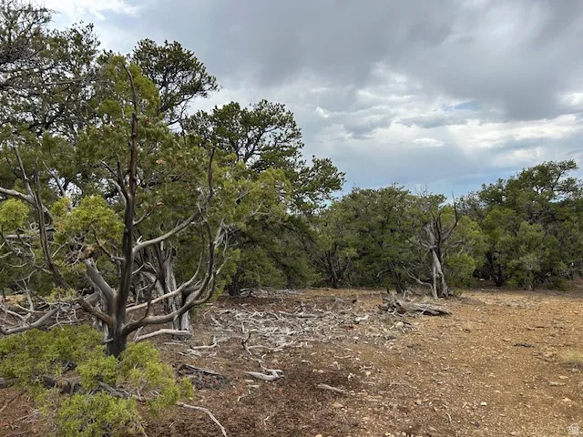 View of nature