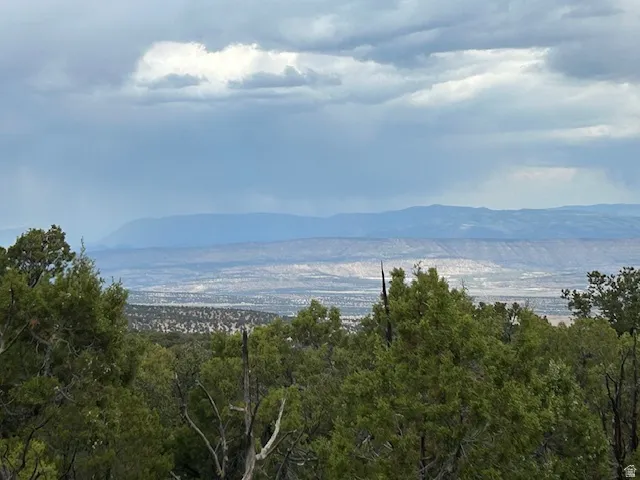 View of mountain background with a heavily wooded area