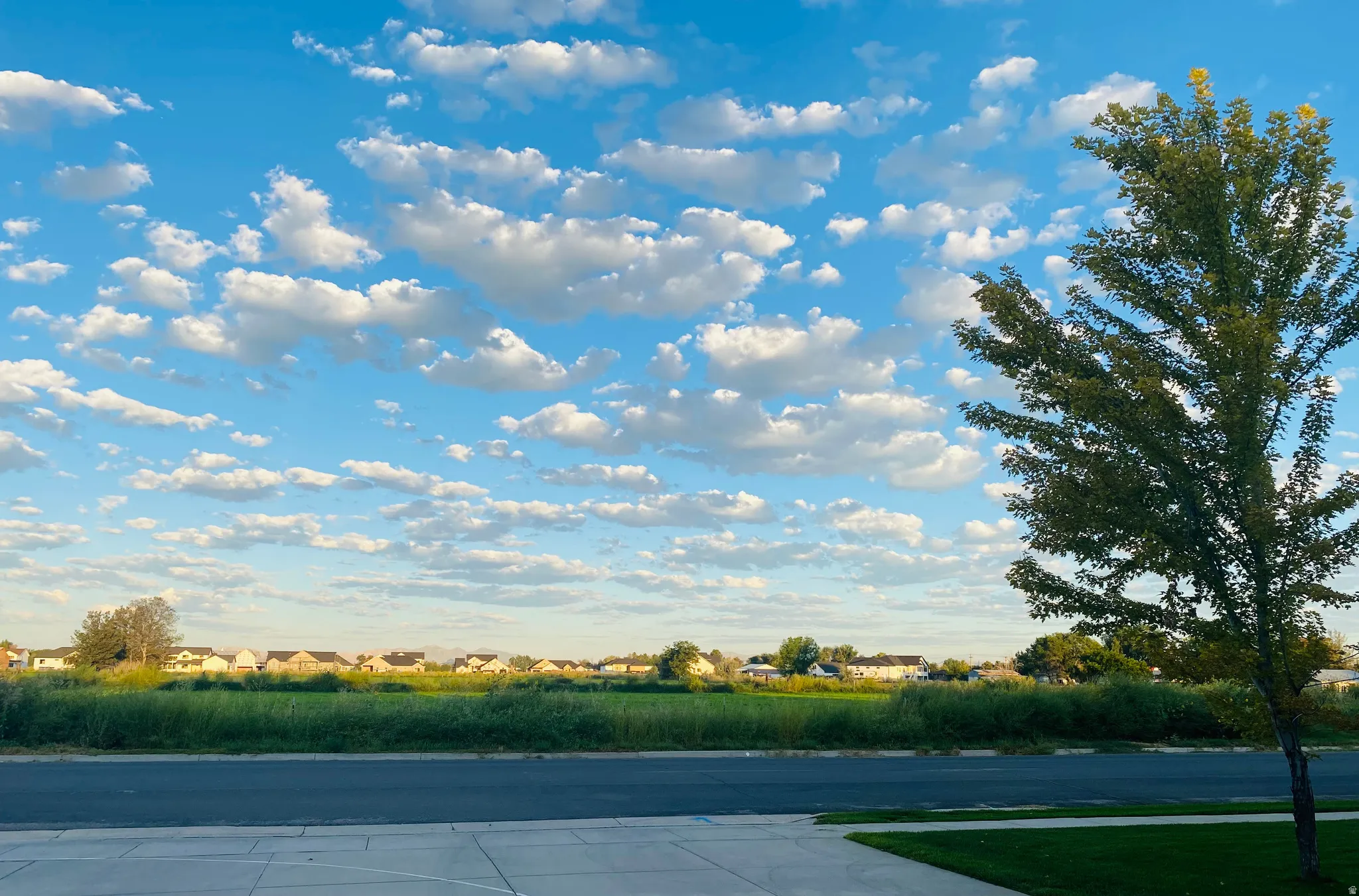 Looking West from garage