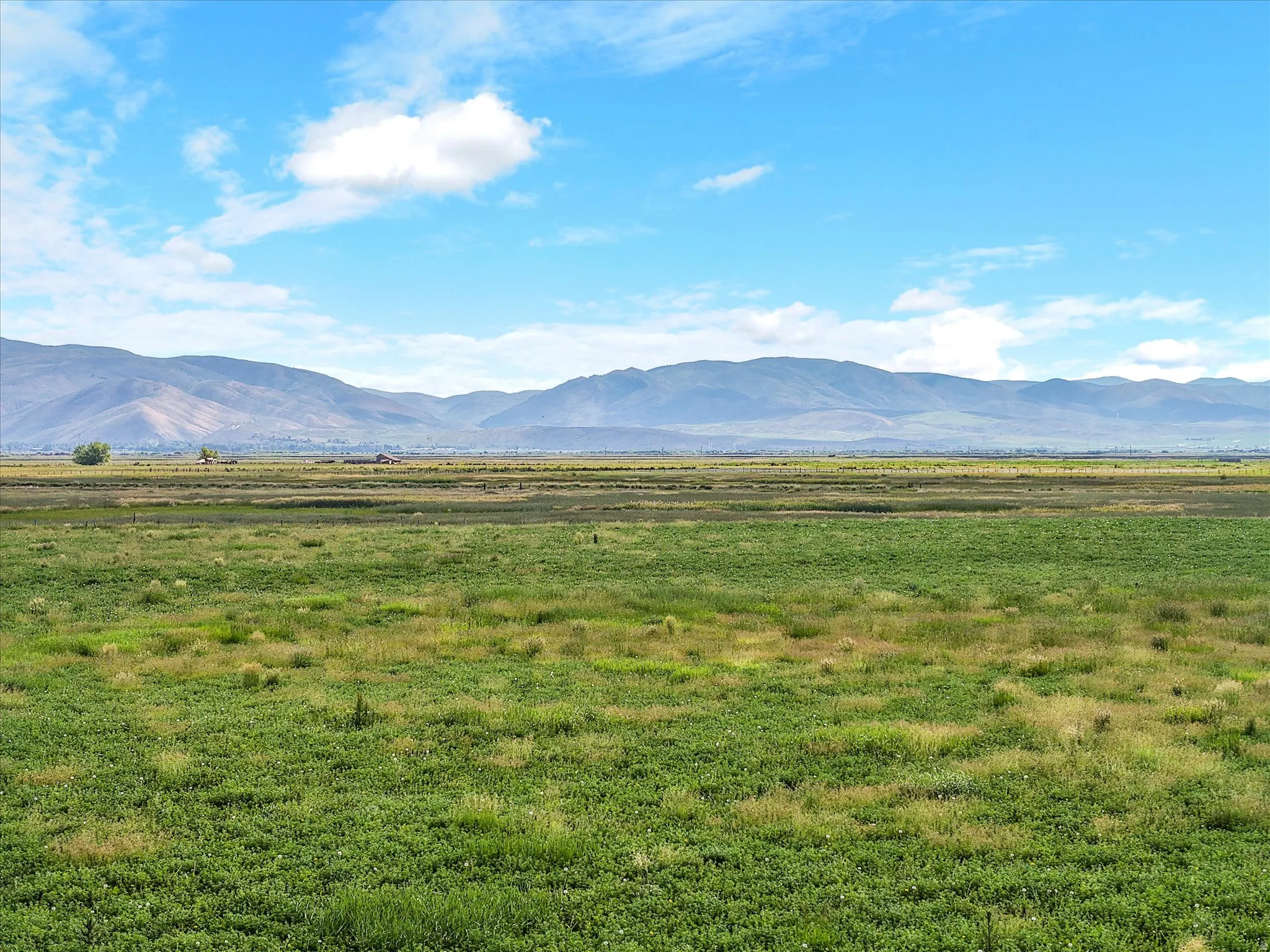 Expansive green fields extending towards distant mountains under a bright blue sky