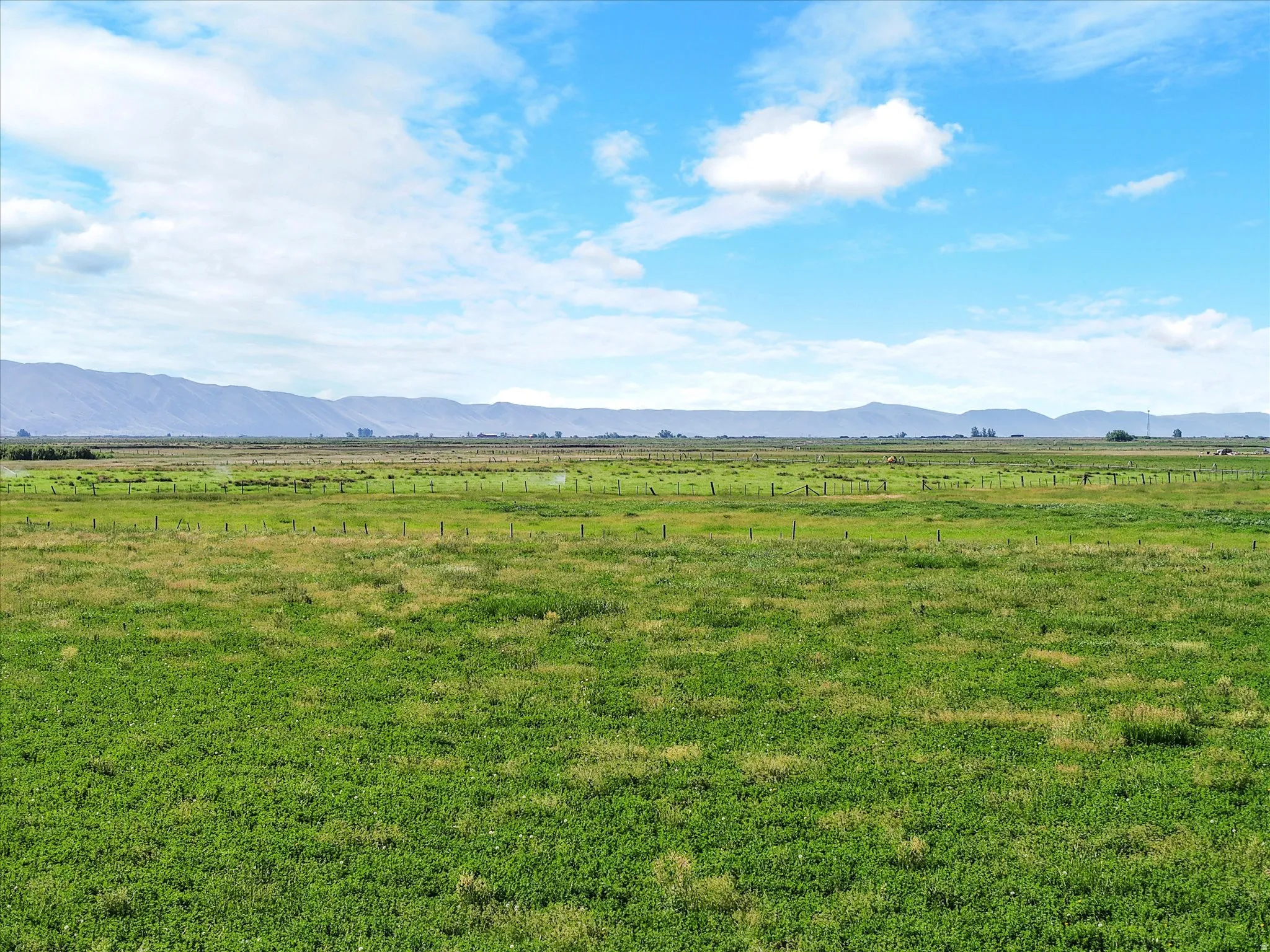 Expansive green acreage featuring distant mountain ranges and a clear sky with scattered clouds