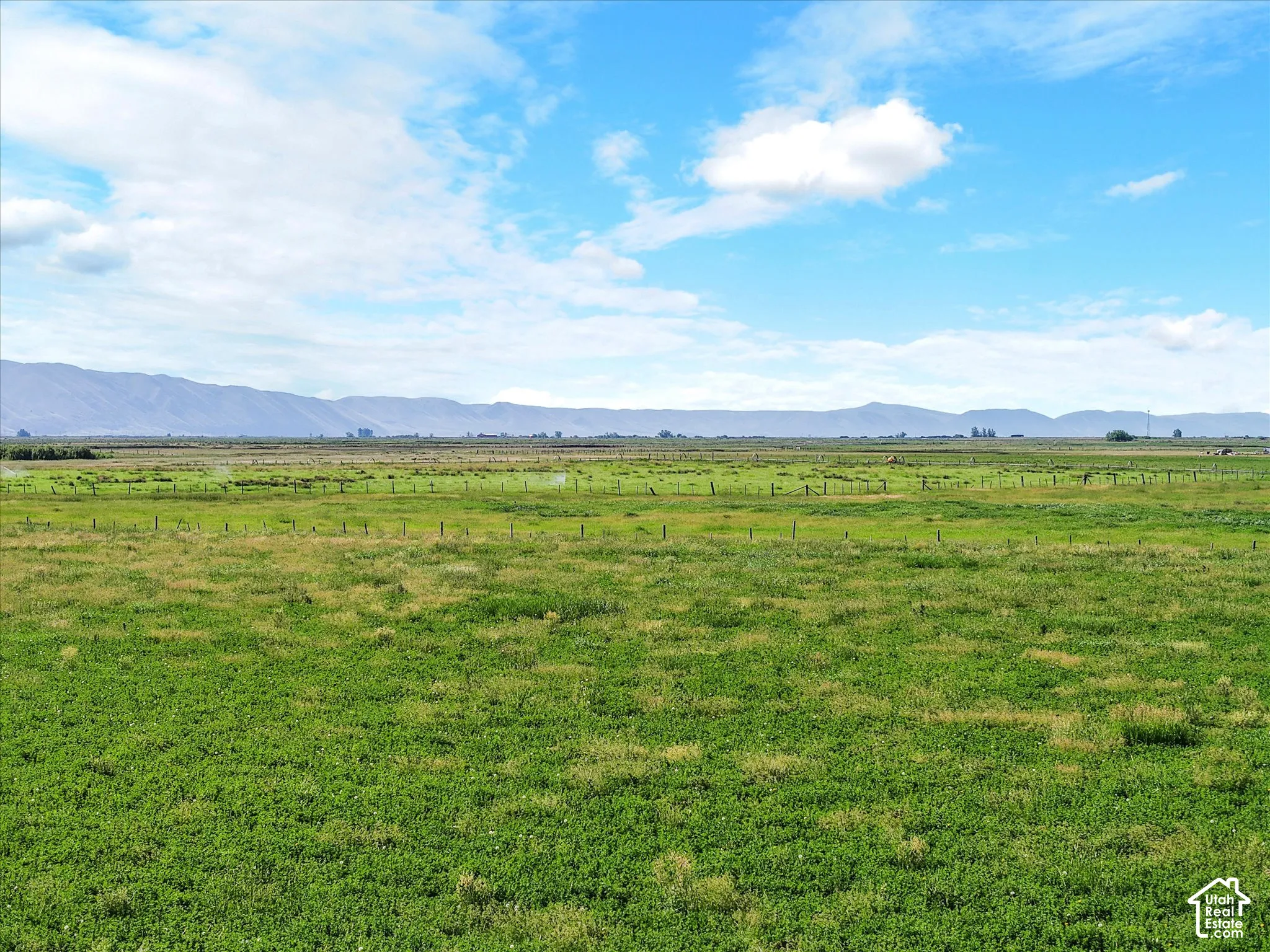Expansive green acreage featuring distant mountain ranges and a clear sky with scattered clouds