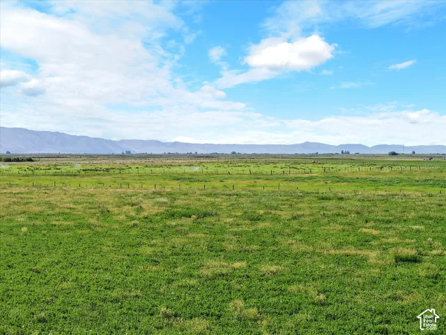 Expansive green acreage featuring distant mountain ranges and a clear sky with scattered clouds