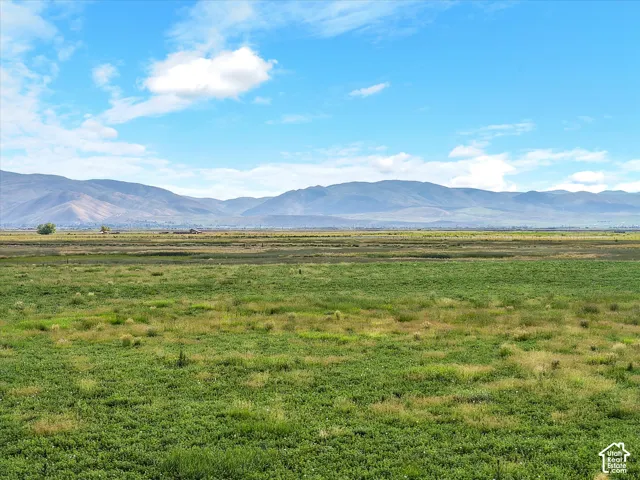 Expansive green fields extending towards distant mountains under a bright blue sky