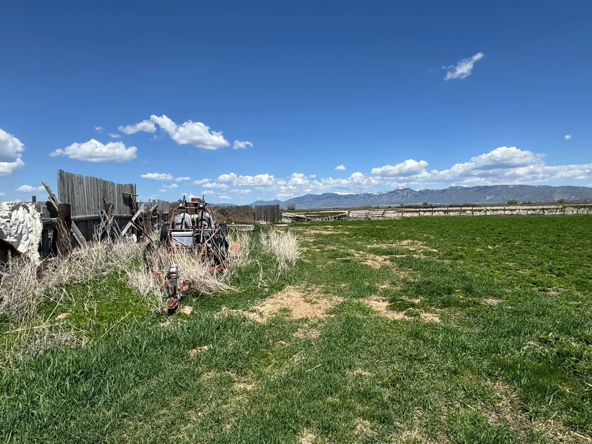 View of grassy yard with a mountain view and a view of countryside