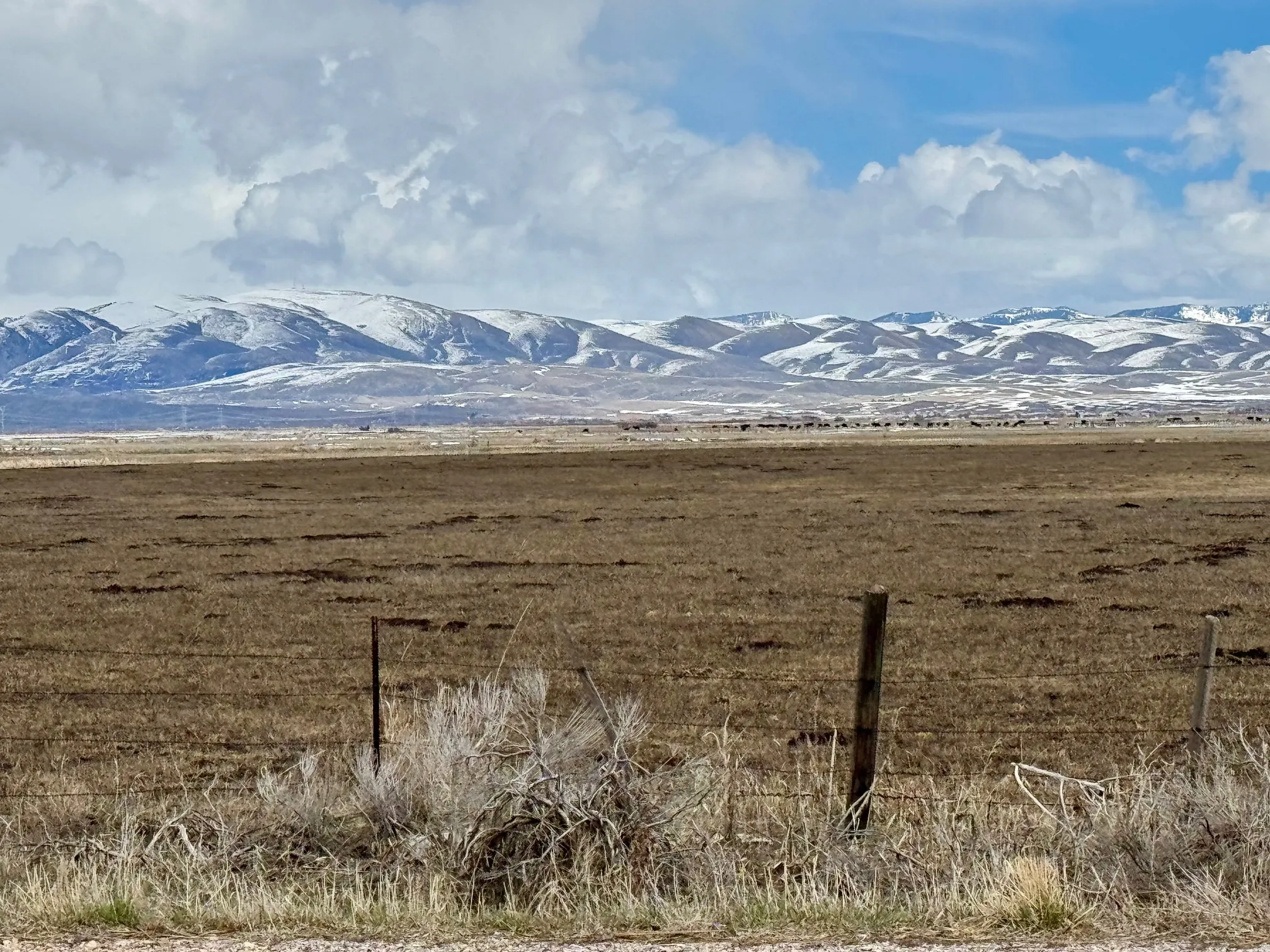 View of mountain background