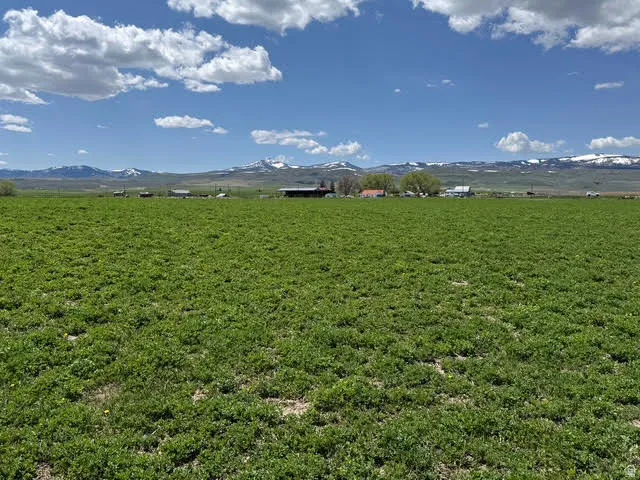 View of grassy yard featuring a mountain view and a view of rural / pastoral area