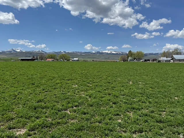 View of grassy yard featuring a mountain view and a view of rural / pastoral area