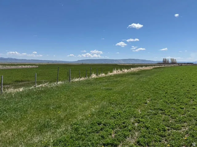 View of grassy yard with a view of rural / pastoral area and a mountain view